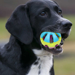 Wholesale Eco-Friendly Plastic <b>Dog</b> Toy Ball with <b>Bell</b> Durable Funny Modern Simple Training Pet Squeak Ball - Product Image 2