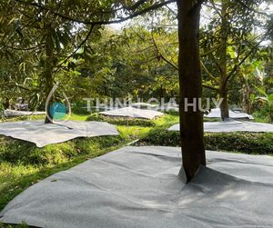 Tissu en feutre Polyester non tissé, poinçon à aiguille, recyclable, fabriqué au Vietnam, prix bon marché, tissu anti-mauvaises herbes 2023 - Product Image 1