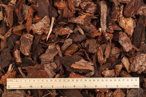 Corteza de pino artificial orgánico Corteza de madera de pino Chip Mulch - Product Image 5