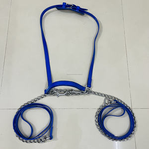Nuevo Material de PVC resistente Bling SHOW Halter Cadena de color plateado completo Productos ecuestres Moda Impermeable Personalizado - Product Image 5