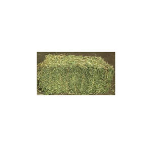Heno de Alfalfa en Pacas de Buena Calidad, 18-20 Por Ciento de Proteína, para Ganado Vacuno y Operaciones de Engorde, Compra al Por Mayor Disponible - Product Image 3