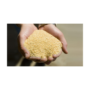 Farine de soja sans OGM de meilleure qualité 48% protéines pour l'alimentation des animaux et des volailles, y compris le poisson - Product Image 1