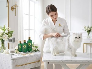 เวลเวทพาว แชมพูสำหรับแมวขนยาวพรีเมียม & แชมพู+ครีมนวดผม 2-in-1 สารสกัดจากดอกคาโมมิลล่า สูตรไหมพรม สำหรับแมวเปอร์เซียและเมนคูน - Product Image 4