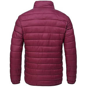 Veste en duvet pour hommes ODM & OEM avec LOGO personnalisé Manteau d'extérieur Veste coupe-vent en coton rembourrée Veste d'hiver pour hommes High Street - Product Image 2