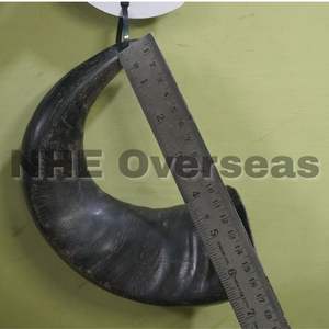 Premium Natural Buffalo Horn Dog Chews Long Lasting Healthy Treats for <b>Puppies</b> Adults and Senior Dogs by NHE Overseas - Product Image 4