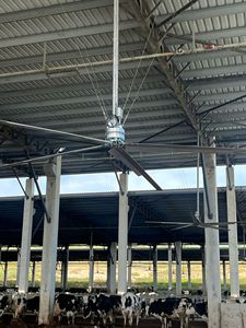 Cowair hvls พัดลมเพดาน700 P cowealthy อุตสาหกรรม hvls สำหรับฟาร์มโรงนาและพลังงานปศุสัตว์ที่มีประสิทธิภาพ - Product Image 4
