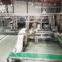 Complete Productiemachines Voor De Verwerkingslijnen Van Appelsap En Appelmoes