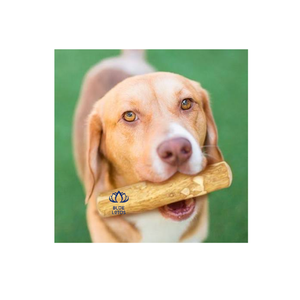 Bâton à mâcher en bois de café durable et écologique de qualité supérieure, idéal pour les animaux qui aiment mâcher et s'amuser - Product Image 1