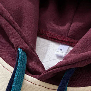 Vente chaude, sweats à capuche surdimensionnés en coton 100% de haute qualité, vêtements de mode en hiver, au meilleur prix - Product Image 4