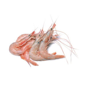 Camarones enteros de río de alta calidad, de todos los tamaños, preparados para venta al por mayor y demanda comercial. - Product Image 1