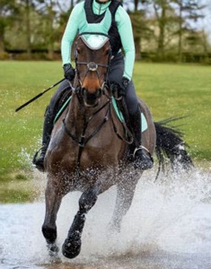 Horsekraft, camisetas de manga larga de secado rápido de poliéster y LICRA de calidad superior, ropa deportiva occidental para propietarios y Jinetes de Caballos - Product Image 6