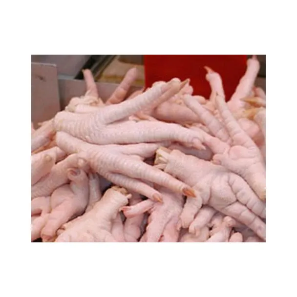 Iyi fiyat ihracat için en iyi sınıf tavuk lal dondurulmuş tavuk pençesi hazır pazar için dondurulmuş tavuk ayakları