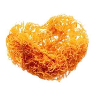 ความสุขสุดสัปดาห์: ซื้อ5แถม1-มอส carrageen ไอริชออร์แกนิก (ซีมอสโกลด์-ม่วง-chondrus Crispus) ใน2025 - Product Image 2