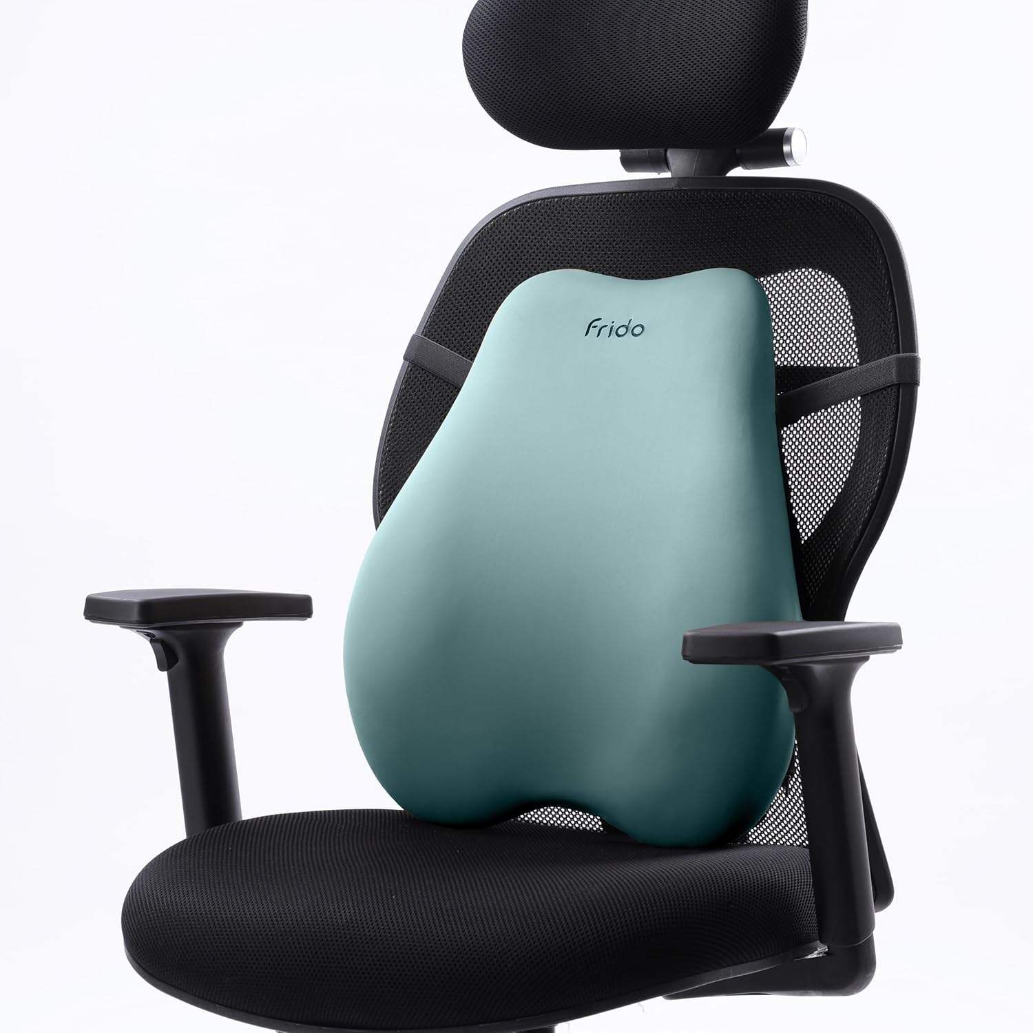 ลิลลี่แพด