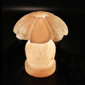 Lámparas con forma de paraguas de sal del Himalaya en tamaños personalizados, lámparas de sal de alta calidad, lámparas de sal del Himalaya de Pakistán - Product Image 3