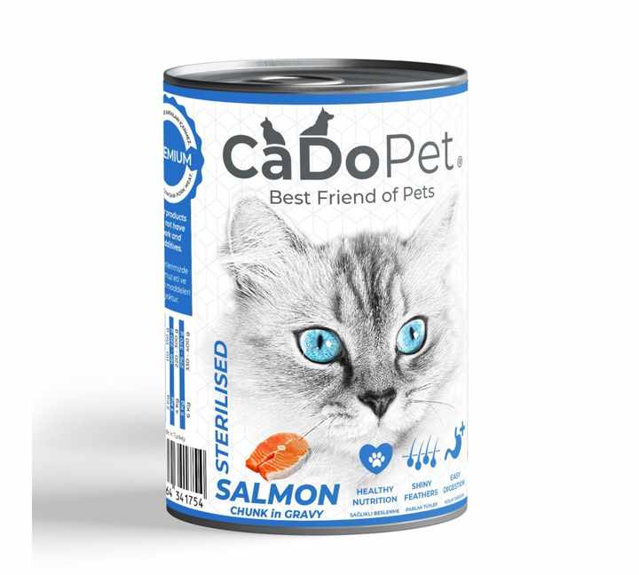 Wet Foods for Cat and Dog