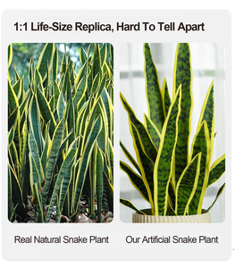 Planta de <span class=keywords><strong>Sansevieria</strong></span> de 2 pies con aspecto realista, borde amarillo, sin maceta incluida, tamaño personalizado, decoración para interiores, exteriores y porche delantero. - Product Image 5