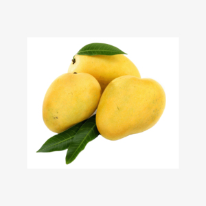มะม่วง (พันธุ์ใหญ่) ทั้งพันธุ์พรีเมียมและพันธุ์ราคาประหยัด - Product Image 6
