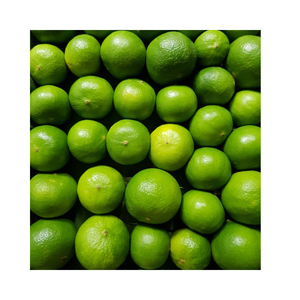 Lima fresca sin semillas de alta calidad/limón frutas frescas precio de fábrica nueva llegada Lima fresca, Lima fresca sin semillas para ventas - Product Image 4