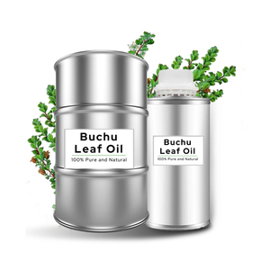 Nuevo extracto de hoja de buchu de Grado Superior ACEITE DE buchu al mejor precio - Product Image 1