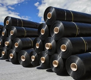 Alta calidad 50m-200m de longitud <span class=keywords><strong>HDPE</strong></span> Geomembrana Dam <span class=keywords><strong>Liner</strong></span> Piscicultura Geomembranas Estanque <span class=keywords><strong>Liner</strong></span> Membrana a prueba de humedad para Fundación - Product Image 2