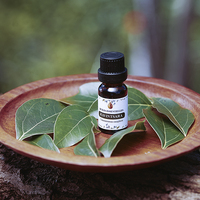 HUILES ESSENTIELLES Eucalyptus Citron Essentiële Olie 100% Pure Natuurlijke Kruidenolie voor Alle Huidtypen Volwassenen
