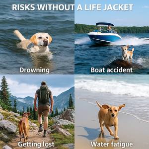 Chaleco para perros de diseño de lujo al por mayor, ropa impermeable de poliéster para mascotas, chaqueta moderna sólida para el verano e invierno - Product Image 3