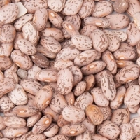 Haricots rouges exportés, légers et mouchetés, de haute qualité, à prix abordable