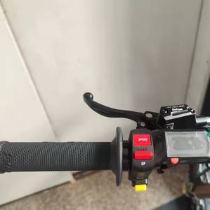 Nouvelle Moto Tout-Terrain Électrique Originale 2026 Surr0n Light B X en Stock 60V 8000W 40AH à Vendre - Product Image 3