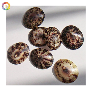 Piezas interiores pulidas para bandejas y posavasos con concha marina de Lapa, concha de Lapa - Product Image 1