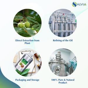 Huile d'huile de châtaignier 100% pure et naturelle en gros en vrac prix le plus bas emballage personnalisé - Product Image 4