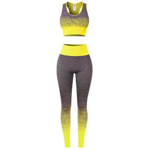 Combinaison active de couleur dégradée pour femmes vêtements de sport sans couture pour Sport Gym Workout Yoga Gear-Washed Technique Ladies' Set - Product Image 5