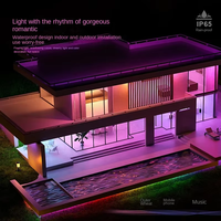 Guirlandes lumineuses LED RGB pour extérieur, compatibles avec application, en PVC noir, IP65, largeur totale de 12 mm, branchement 110V/220V, flexibles, dimmables, étanches