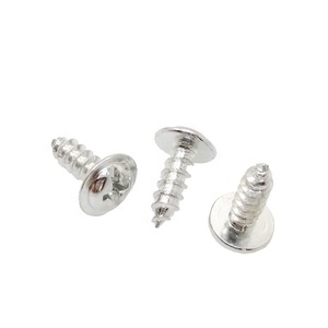 สกรูหัวแฉกแบบเกลียวทำเองวัสดุพลาสติก M3ไทเทเนียม - Product Image 2