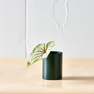 Jarrón negro pequeño moderno, acento decorativo elegante, Ideal para restaurantes domésticos y eventos corporativos, exhibición al por mayor de La India - Product Image 1