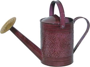 L'arrosoir ultime pour le jardin Arrosoir parfait pour chaque maison - Product Image 2
