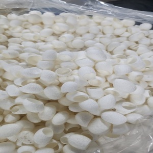 Natural Cut Mulberry SilkCocoons Wholesale for Skincare Facial & Beauty Use 100% Pure Mulberry <b>Silk</b> Cocoons Exfoliation Crafts - Product Image 2