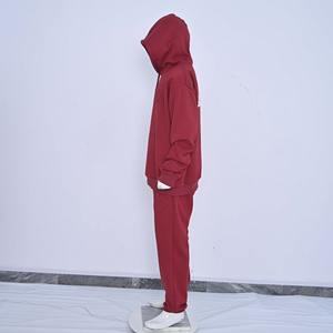 High Street écologique nouveau Design hommes survêtement vente en ligne tissu polaire doux personnalisé logo professionnel survêtement - Product Image 4