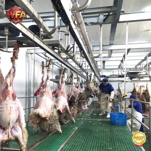 Ligne <span class=keywords><strong>d</strong></span>'équipement <span class=keywords><strong>d</strong></span>'abattage de 450 moutons par service pour abattoir de moutons et chèvres, avec outil <span class=keywords><strong>d</strong></span>'abattage <span class=keywords><strong>d</strong></span>'agneaux, machines HACCP pour viande de mouton - Product Image 2