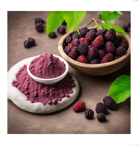 Poudre de mûrier séchée par atomisation certifiée biologique et naturelle, colorant alimentaire sain de qualité alimentaire, additifs alimentaires, prix de gros Herbojit - Product Image 5