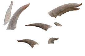 Cuerno para beber vikingo pulido hecho a mano de lujo Diseño animal Cuerno de buey natural con soporte y soporte de cuero de la India - Product Image 6