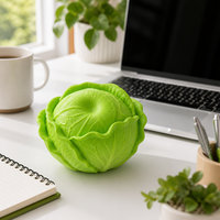 Jouet anti-stress en forme de chou, jouet sensoriel à rebond lent en plastique pour adultes, adolescents, cadeau de bureau, OEM