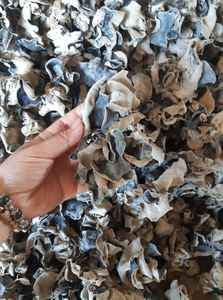 Champignon d'oreille en bois séché/Champignon séché de haute qualité pour l'exportation/Champignon d'oreille d'arbre du Vietnam Mme Lily - Product Image 4