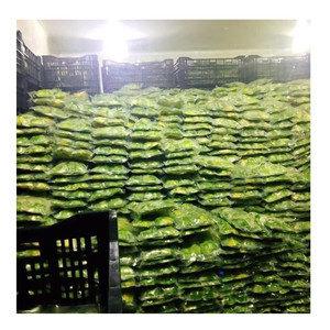 Aguacate congelado de exportación Premium de Vietnam que ofrece excelente sabor, textura y color para aplicaciones de servicio de alimentos - Product Image 4