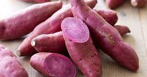 Chất lượng cao màu tím khoai lang từ Việt Nam dinh dưỡng và nông nghiệp sản phẩm - Product Image 5