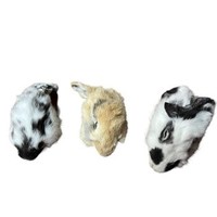 Crânes de lapin naturels Nefertiti, têtes d'animaux réelles, peau brute, forme naturelle, 10 cm, 100 g, décoration