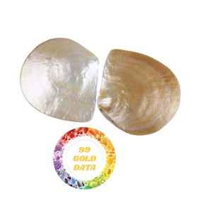 Conchas Naturales de Nácar: Precios Competitivos, Calidad Superior, Ideales para Joyería Exquisita y Artesanía - Product Image 1
