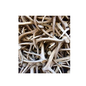 Whole <b>Red</b> Deer Antlers Whitetail Antler Cluster Natural Raw <b>Material</b> for Health Food Use - Product Image 2