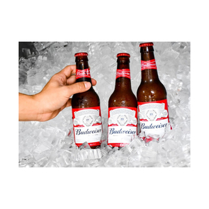 Cerveza Lager Budweiser de Primera Calidad en Botellas de 33cl - Product Image 4