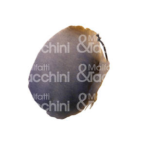 CAP Pour polir avec fermeture à lacet - Product Image 1